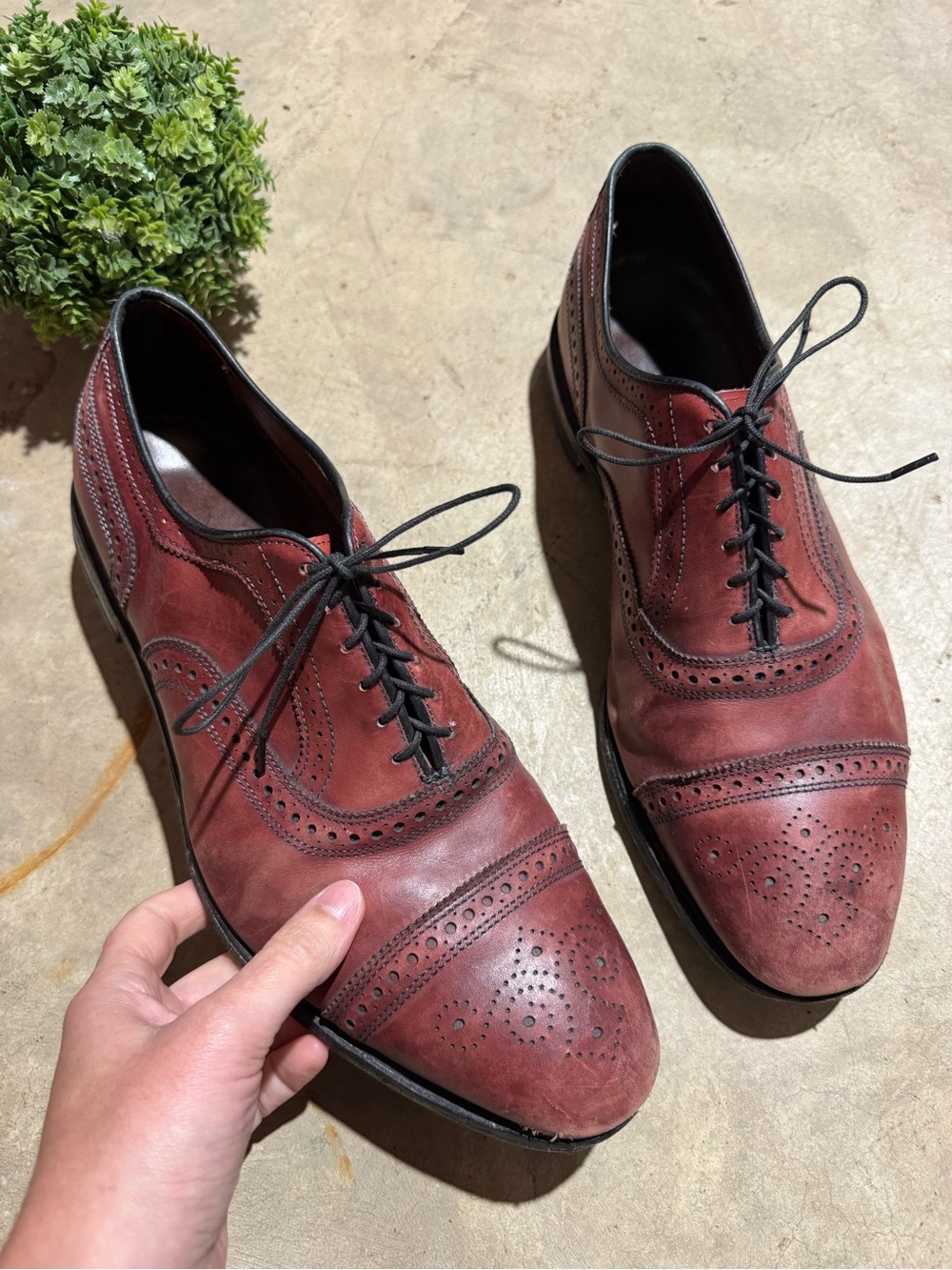 Allen Edmonds Strand Cap Toe Oxford Shoes Men Size 12 Red Leather Business Dress